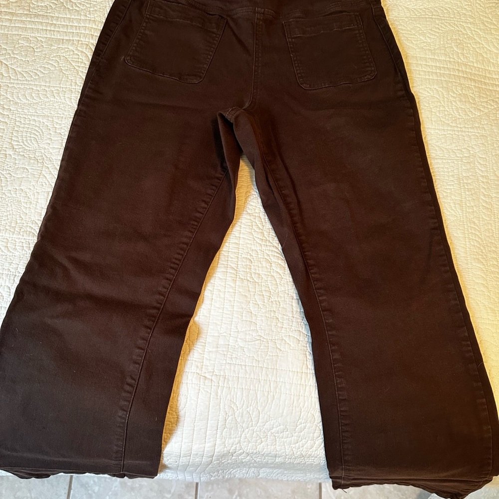 Belle by Kim Gravel Brown Flare Jeans